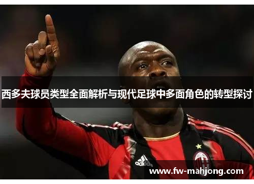 西多夫球员类型全面解析与现代足球中多面角色的转型探讨