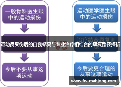 运动员受伤后的自我修复与专业治疗相结合的康复路径探析